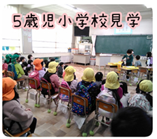 5歳児小学校見学